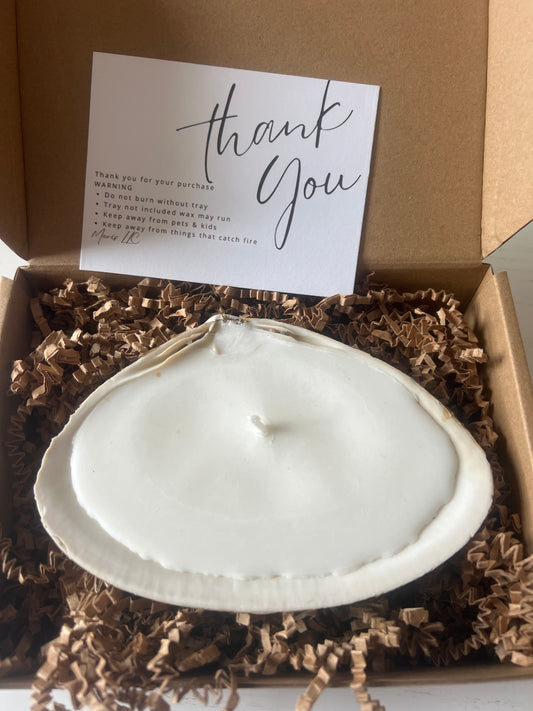 Natural white shell candle