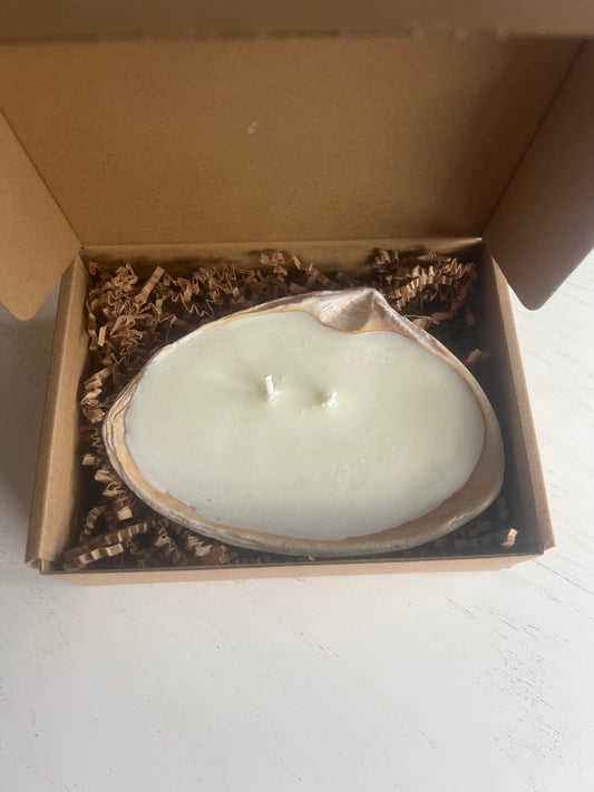 Shell candle