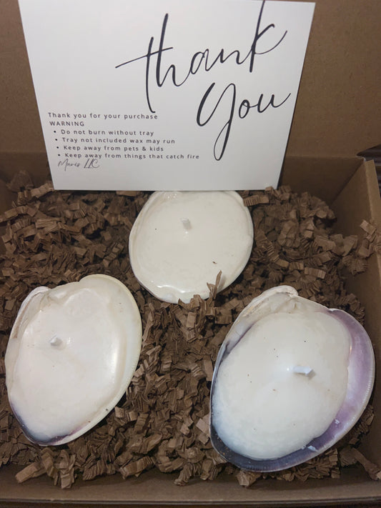 3 mini quahog candles