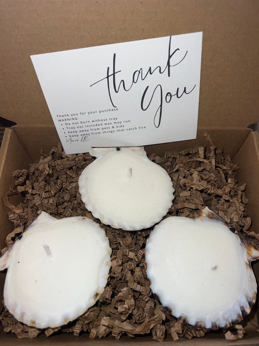 3 scallop candles