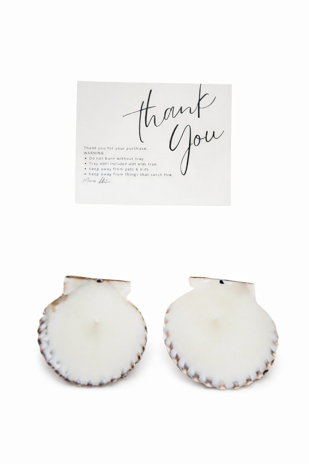 Two scallops